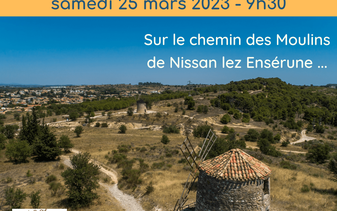 Marche afghane Moulins de Nissan