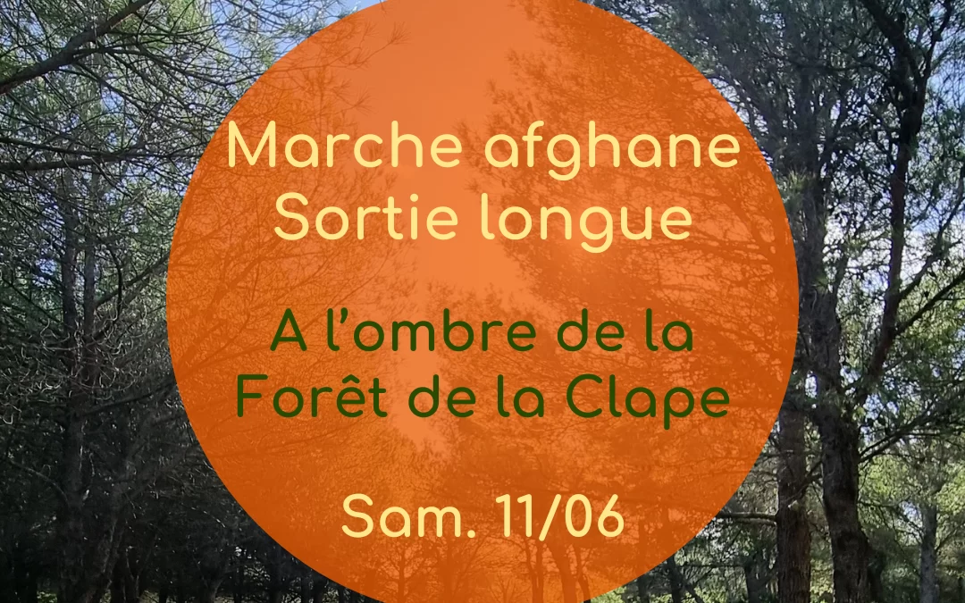 Marche longue dans la Clape
