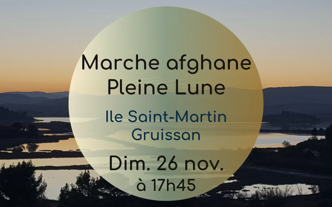 Marche Pleine Lune – Novembre 2023
