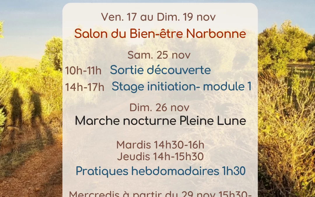 Agenda Novembre 2023