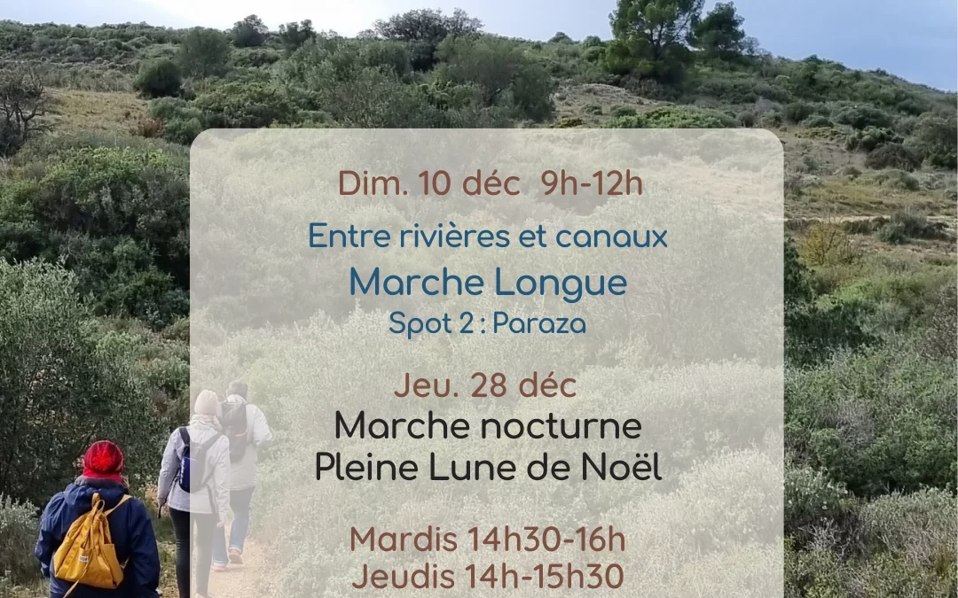 Agenda Décembre 2023