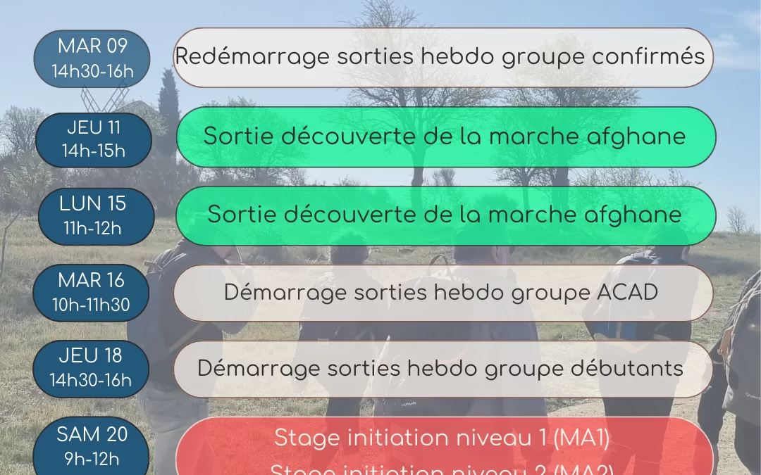 Agenda Janvier 2024