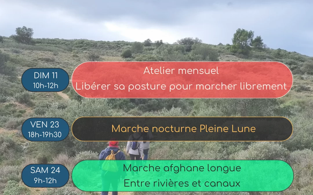 Agenda Février 2024