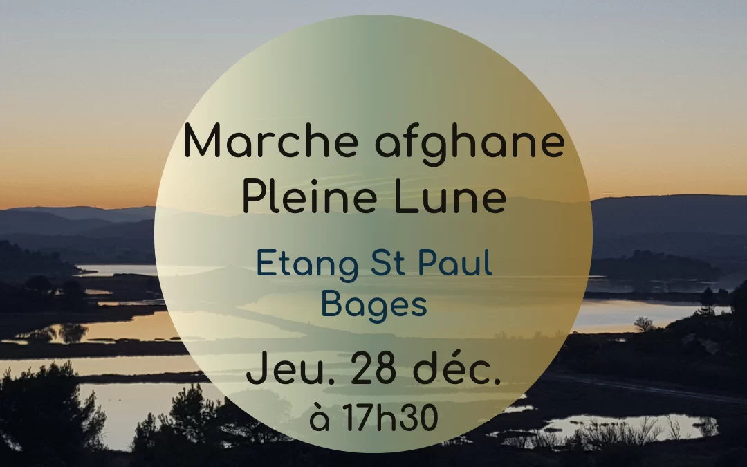 Marche Pleine Lune – Décembre 2023
