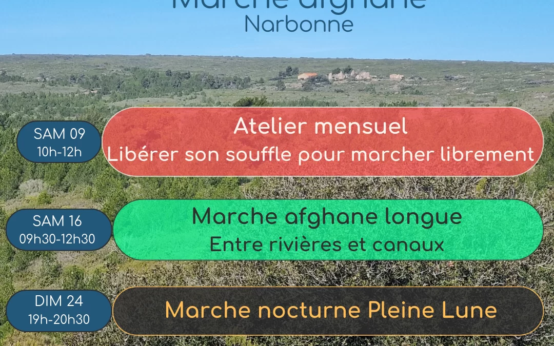 Agenda Mars 2024