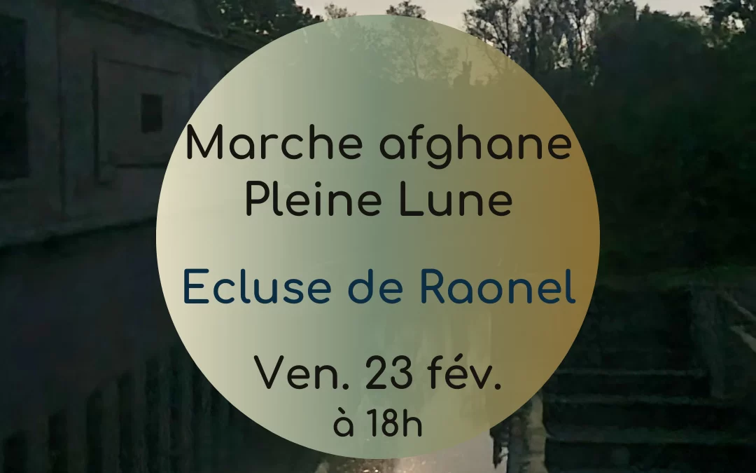 Marche nocturne Pleine lune – février 2024