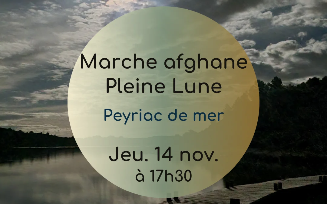 Marche nocturne super lune – novembre 2024