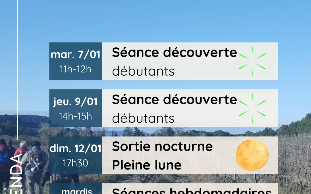 Agenda janvier 2025