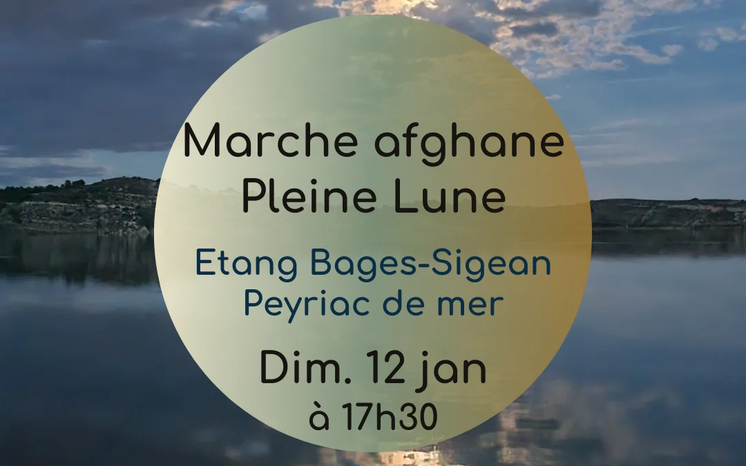 Marche nocturne Pleine Lune – janvier 2025