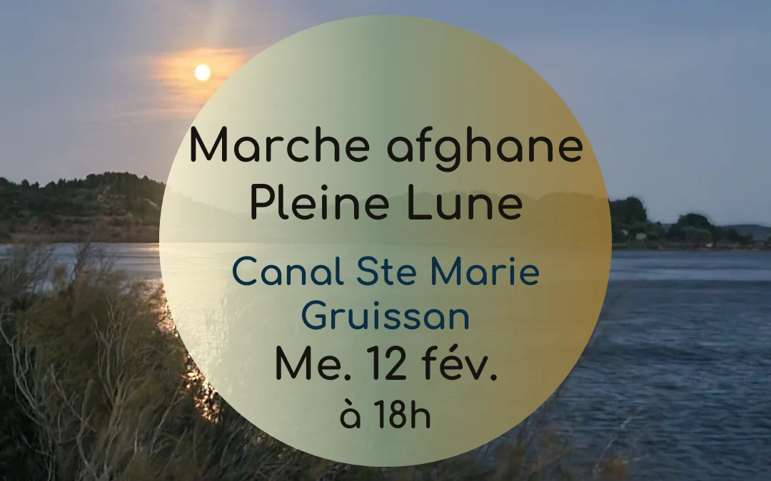 Marche nocturne pleine lune – février 2025