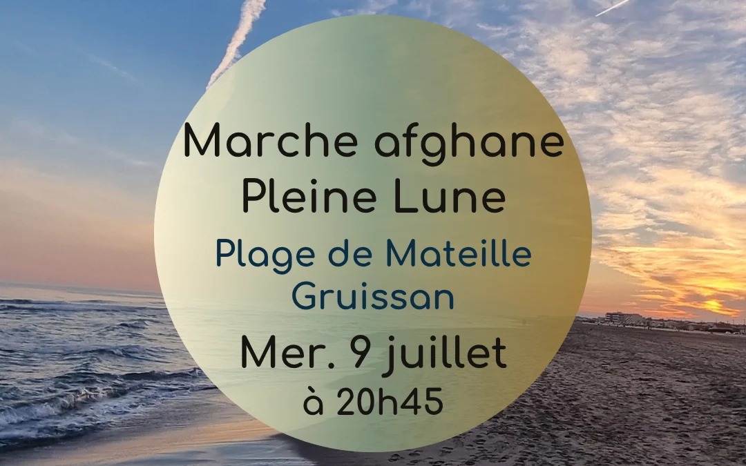 Marche nocturne pleine lune juillet 2025